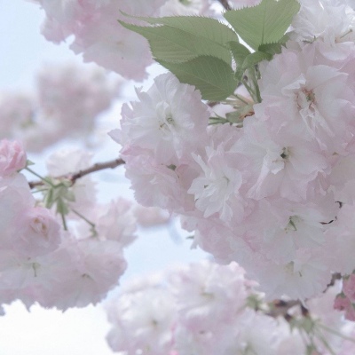 Furry赛博风格设计技巧福瑞群